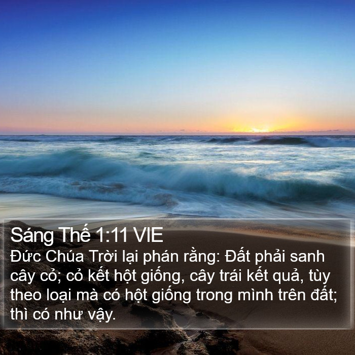 Sáng Thế 1:11 VIE Bible Study