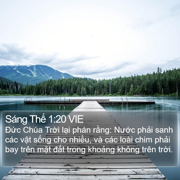 Sáng Thế 1:20 VIE Bible Study