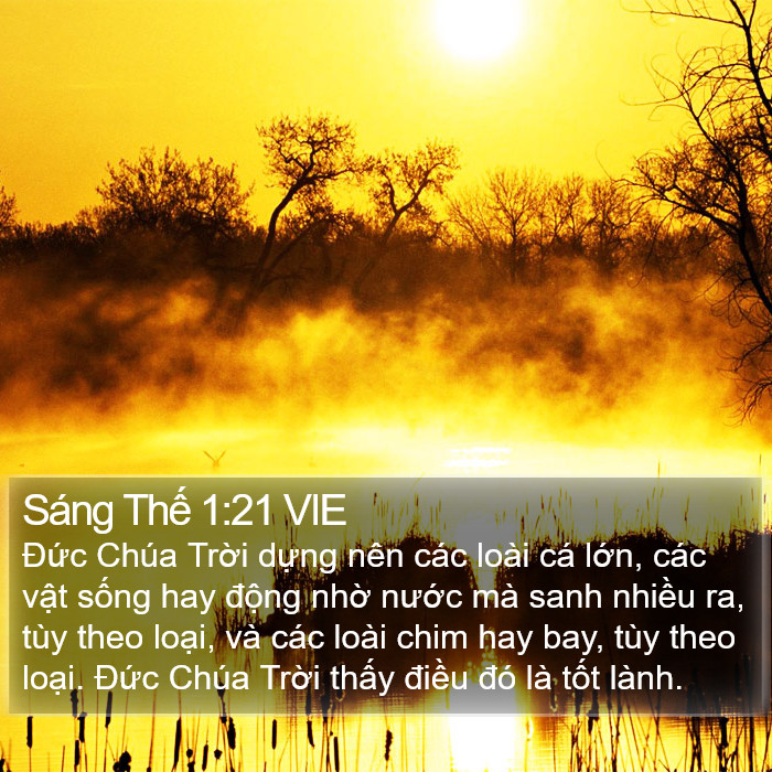 Sáng Thế 1:21 VIE Bible Study