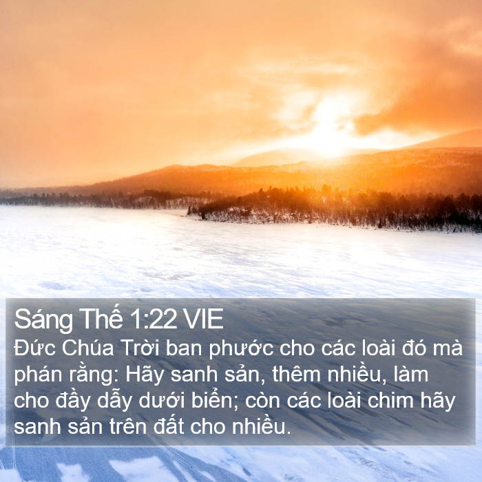 Sáng Thế 1:22 VIE Bible Study