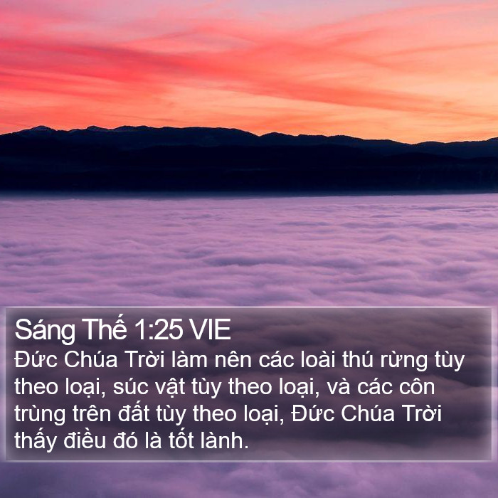 Sáng Thế 1:25 VIE Bible Study