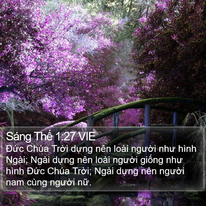 Sáng Thế 1:27 VIE Bible Study