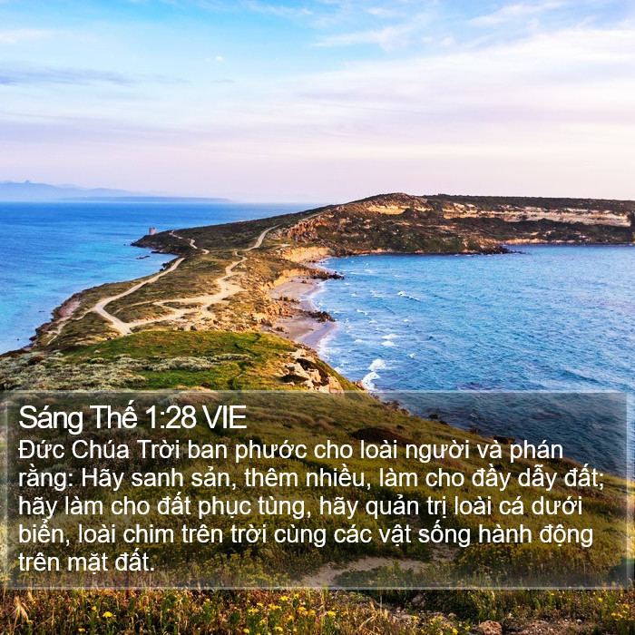 Sáng Thế 1:28 VIE Bible Study