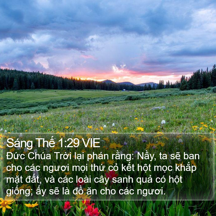 Sáng Thế 1:29 VIE Bible Study