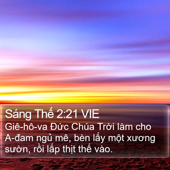 Sáng Thế 2:21 VIE Bible Study