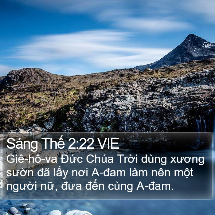 Sáng Thế 2:22 VIE Bible Study