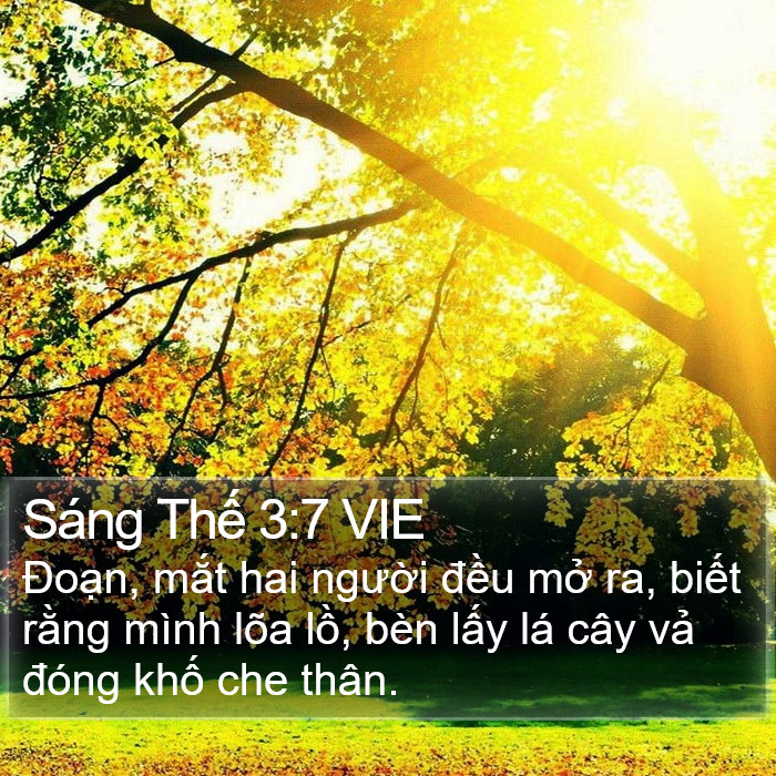 Sáng Thế 3:7 VIE Bible Study