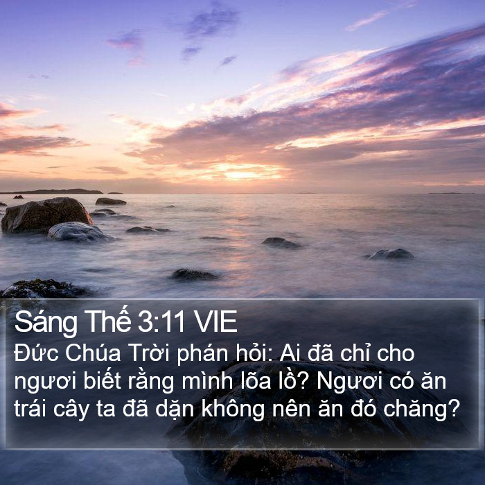 Sáng Thế 3:11 VIE Bible Study