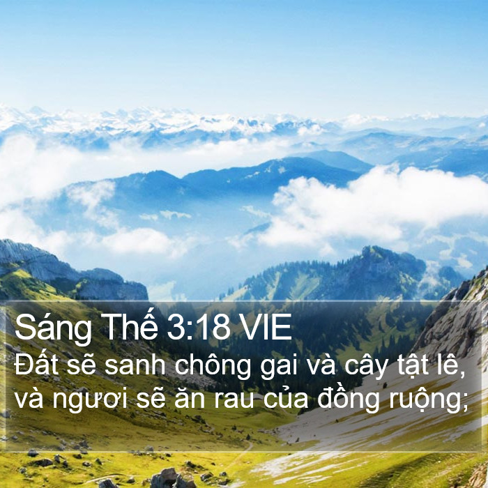 Sáng Thế 3:18 VIE Bible Study