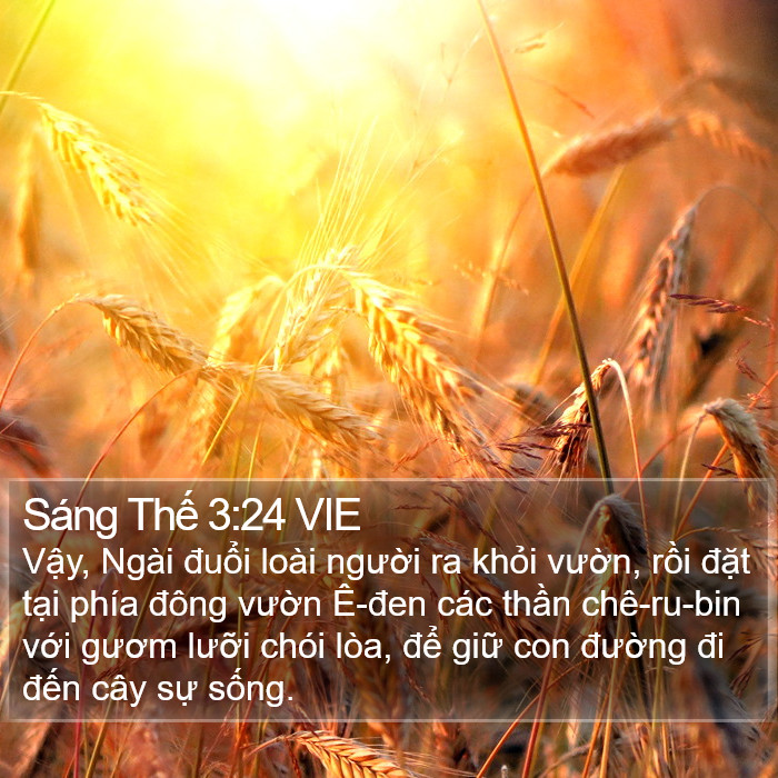 Sáng Thế 3:24 VIE Bible Study