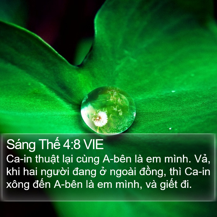 Sáng Thế 4:8 VIE Bible Study