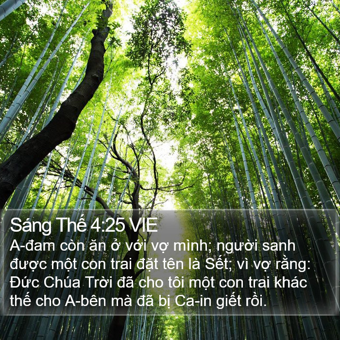 Sáng Thế 4:25 VIE Bible Study