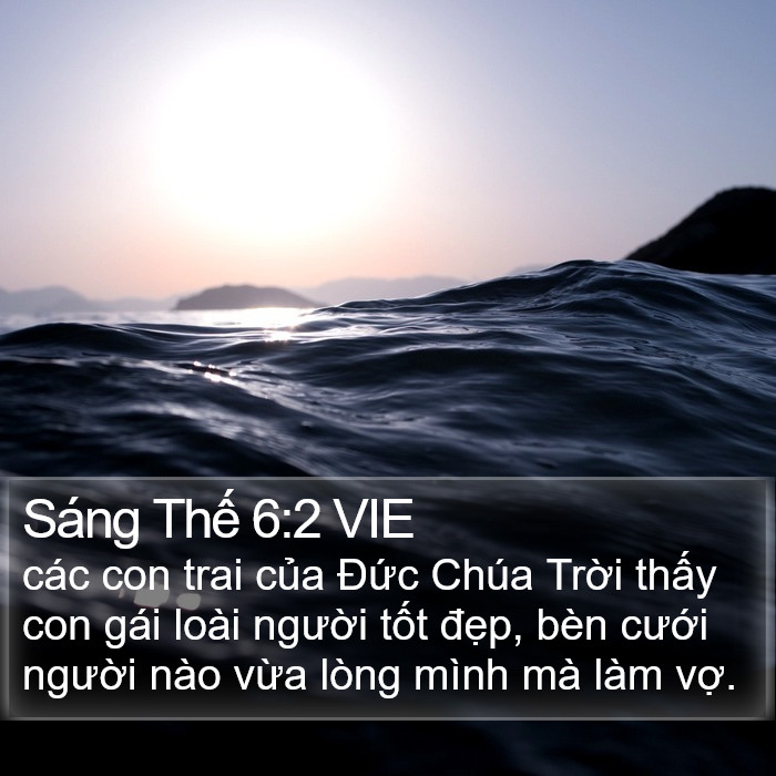 Sáng Thế 6:2 VIE Bible Study