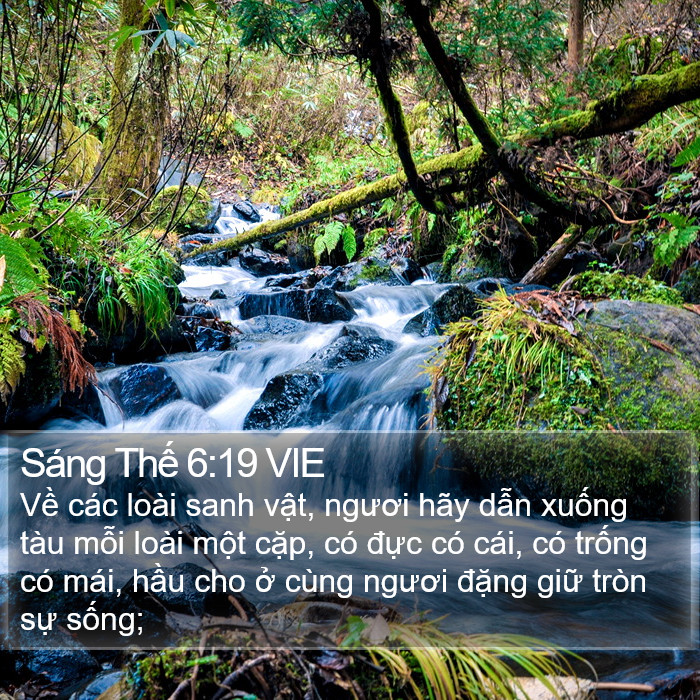 Sáng Thế 6:19 VIE Bible Study