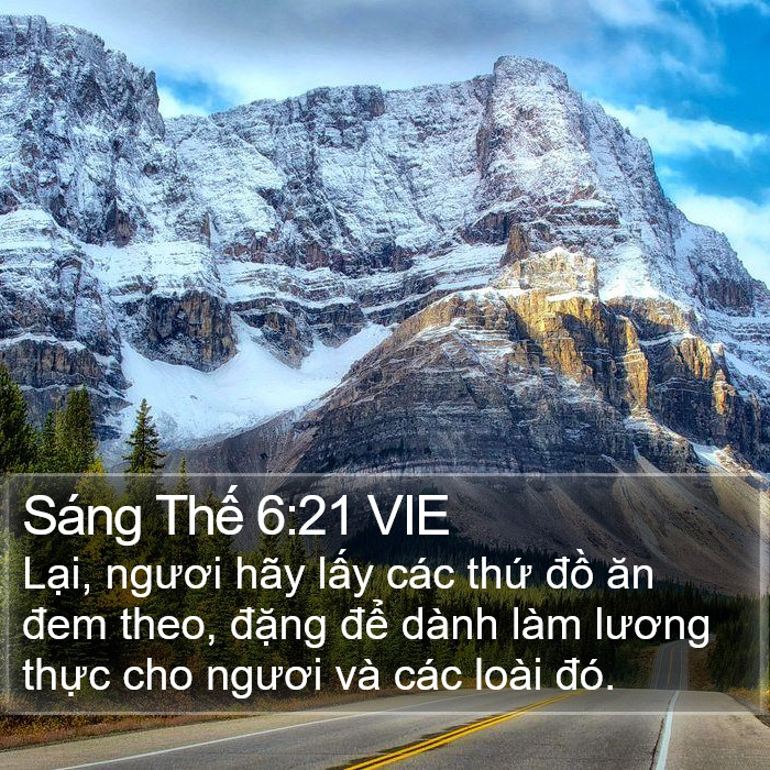 Sáng Thế 6:21 VIE Bible Study