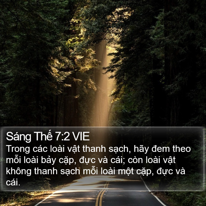 Sáng Thế 7:2 VIE Bible Study