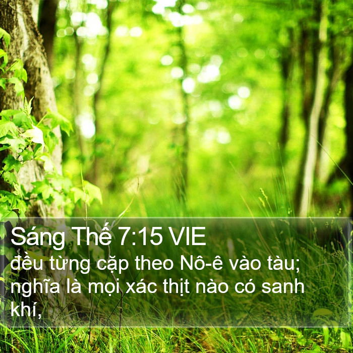 Sáng Thế 7:15 VIE Bible Study