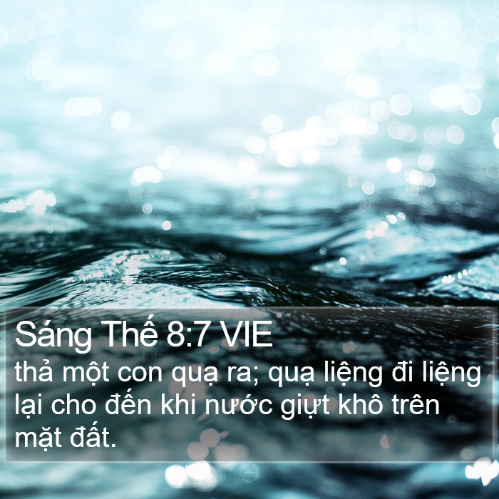 Sáng Thế 8:7 VIE Bible Study