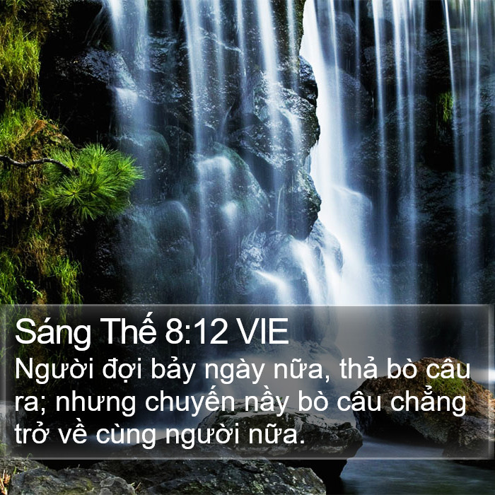 Sáng Thế 8:12 VIE Bible Study