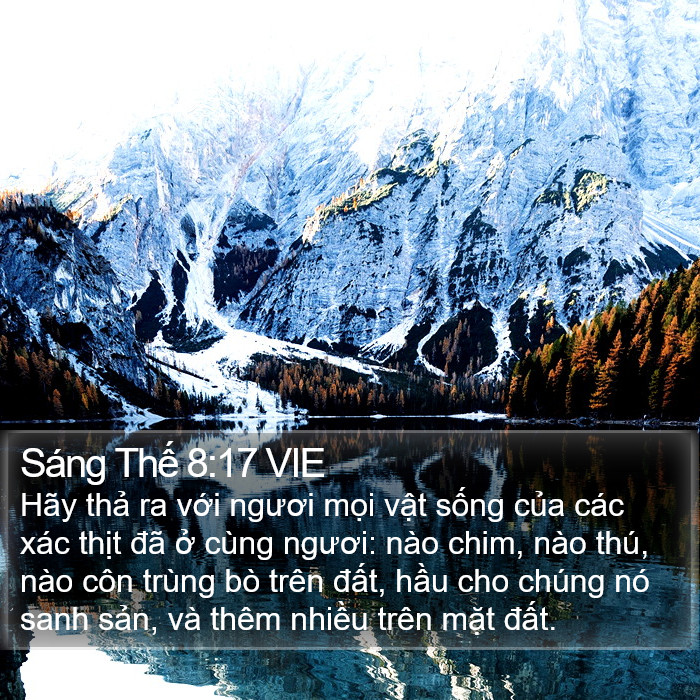 Sáng Thế 8:17 VIE Bible Study