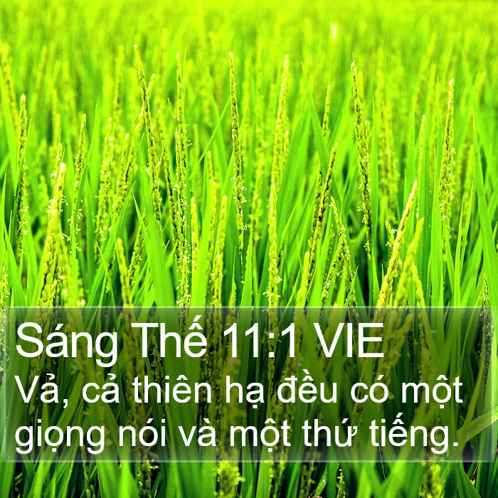 Sáng Thế 11:1 VIE Bible Study