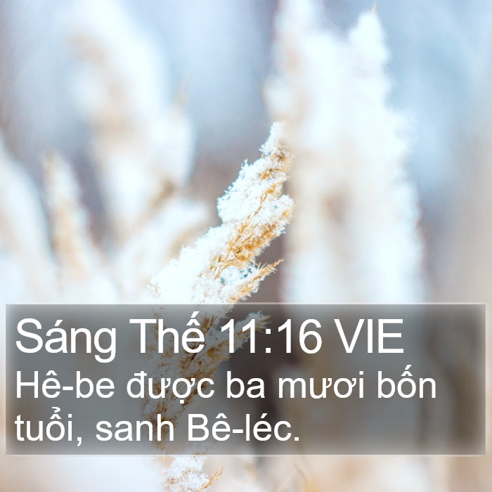 Sáng Thế 11:16 VIE Bible Study