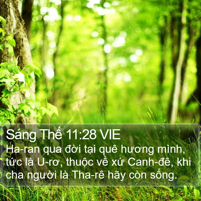 Sáng Thế 11:28 VIE Bible Study