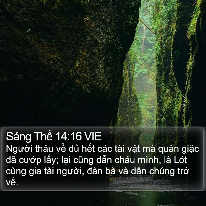 Sáng Thế 14:16 VIE Bible Study