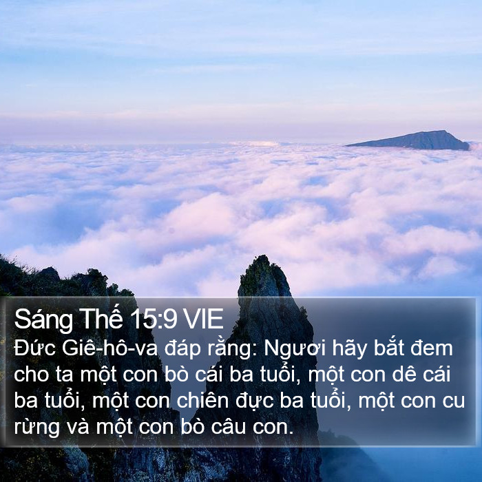 Sáng Thế 15:9 VIE Bible Study