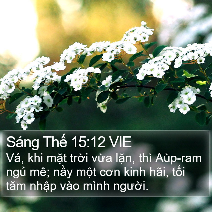 Sáng Thế 15:12 VIE Bible Study