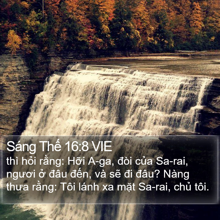Sáng Thế 16:8 VIE Bible Study