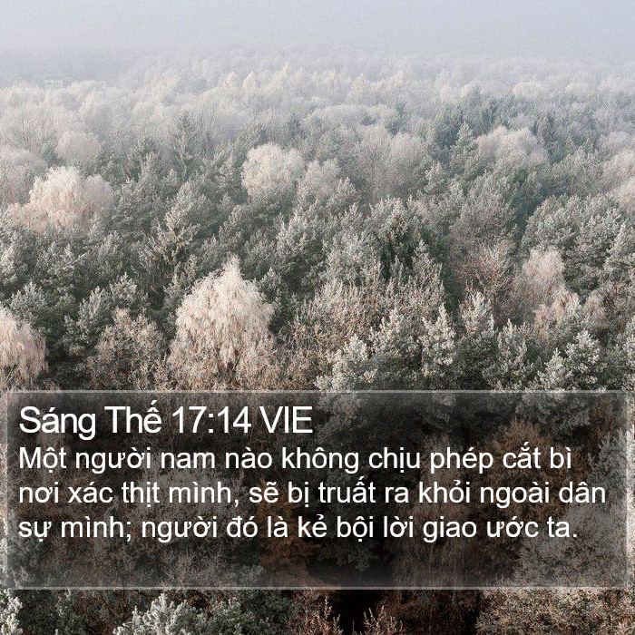 Sáng Thế 17:14 VIE Bible Study