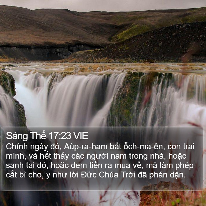 Sáng Thế 17:23 VIE Bible Study