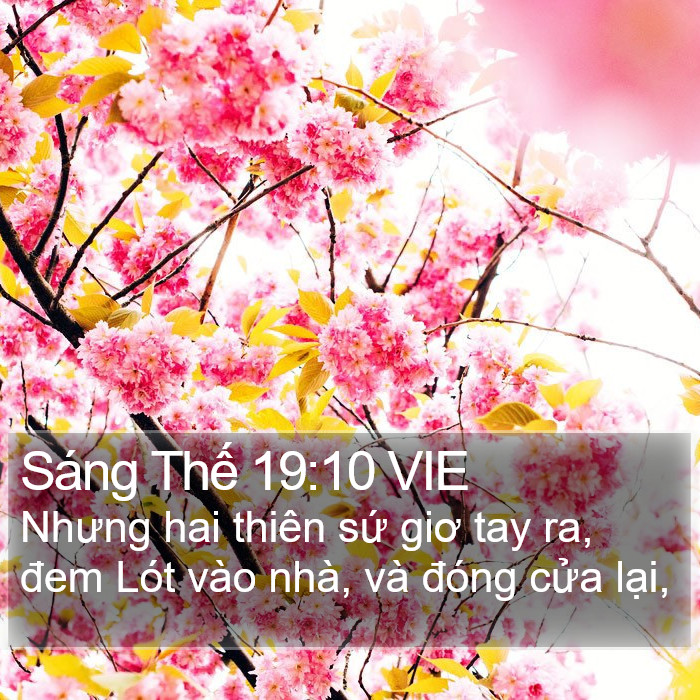 Sáng Thế 19:10 VIE Bible Study