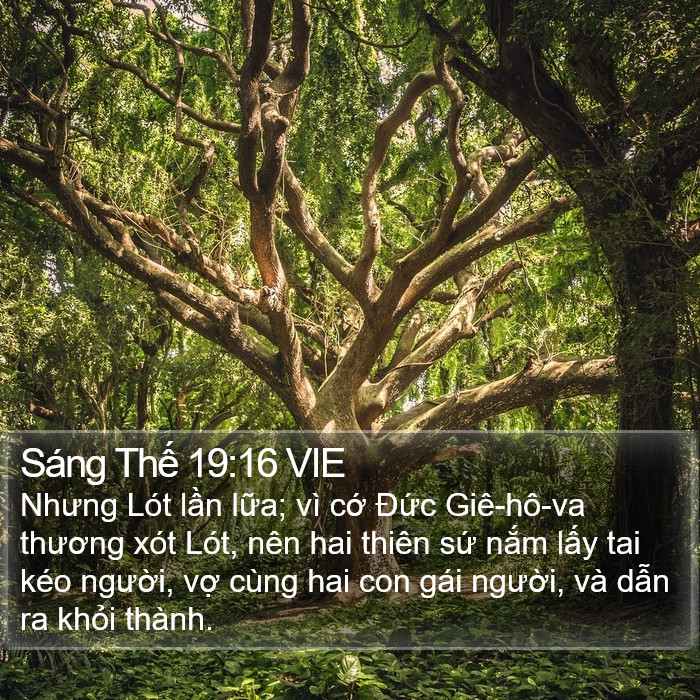 Sáng Thế 19:16 VIE Bible Study