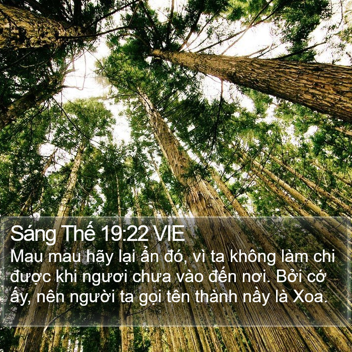 Sáng Thế 19:22 VIE Bible Study