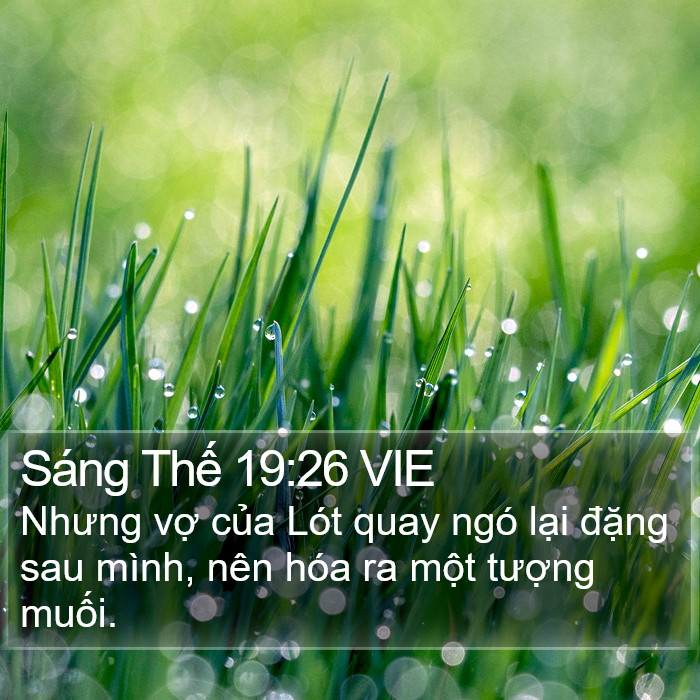 Sáng Thế 19:26 VIE Bible Study