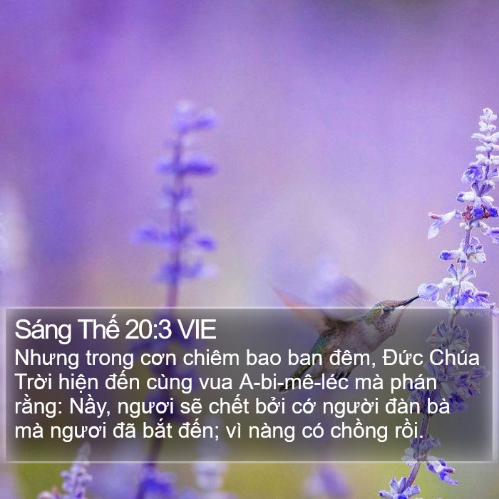 Sáng Thế 20:3 VIE Bible Study