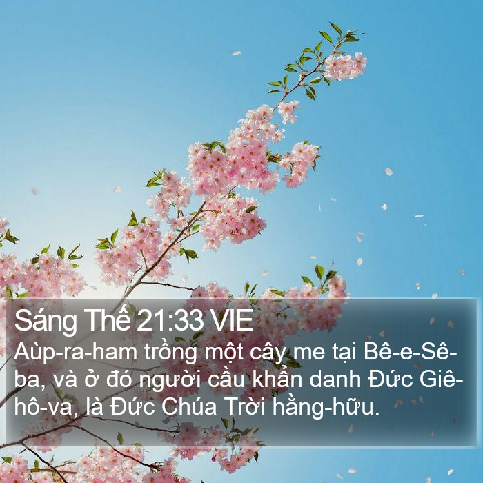 Sáng Thế 21:33 VIE Bible Study