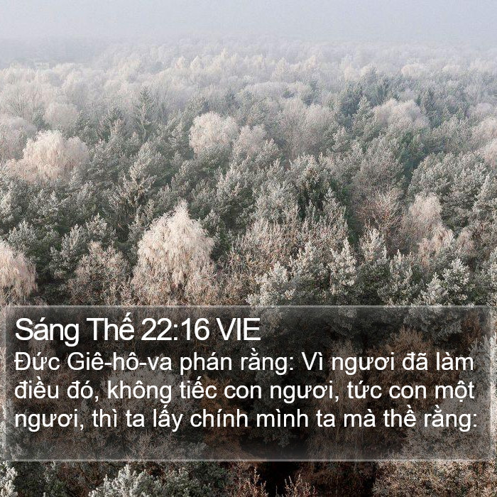 Sáng Thế 22:16 VIE Bible Study