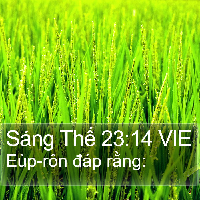 Sáng Thế 23:14 VIE Bible Study