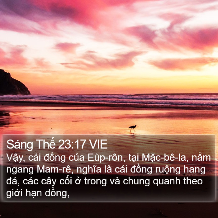 Sáng Thế 23:17 VIE Bible Study