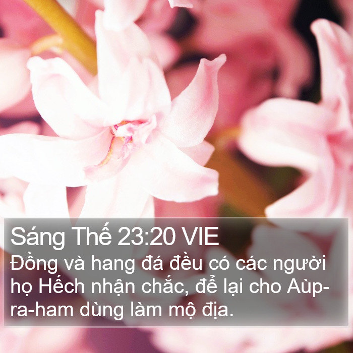 Sáng Thế 23:20 VIE Bible Study