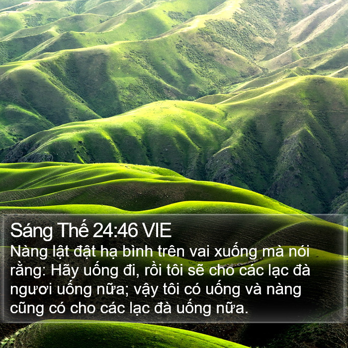 Sáng Thế 24:46 VIE Bible Study