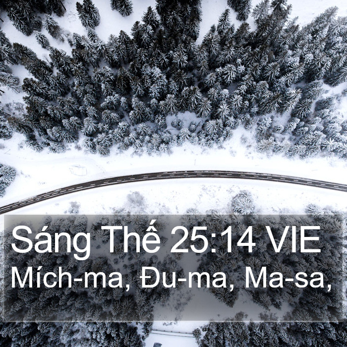 Sáng Thế 25:14 VIE Bible Study