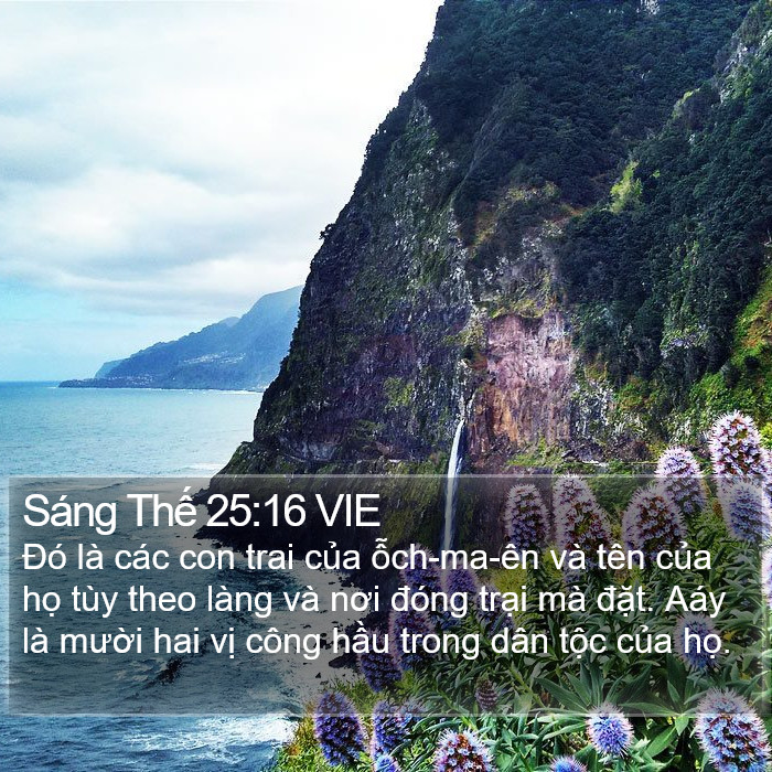 Sáng Thế 25:16 VIE Bible Study