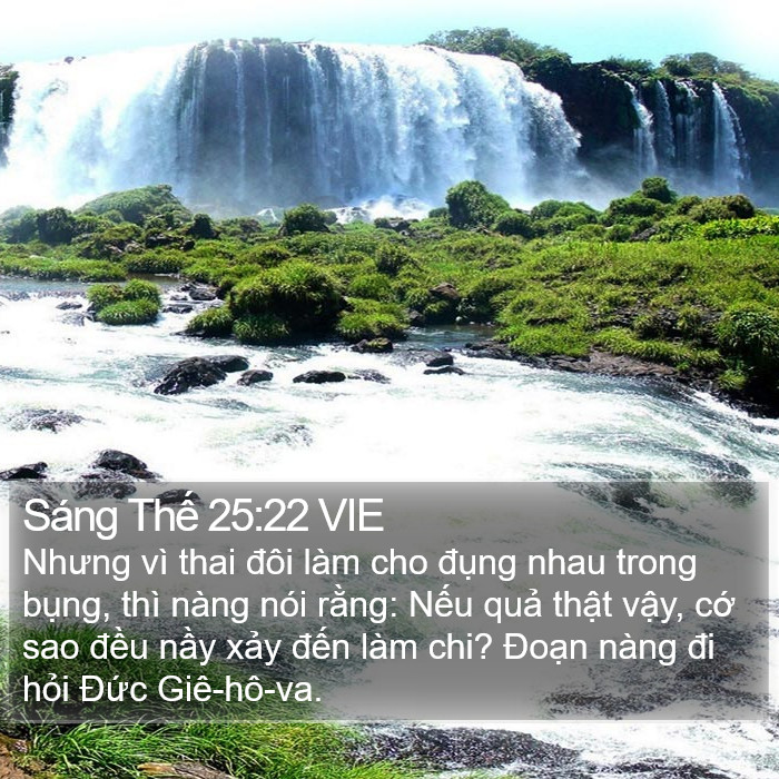 Sáng Thế 25:22 VIE Bible Study