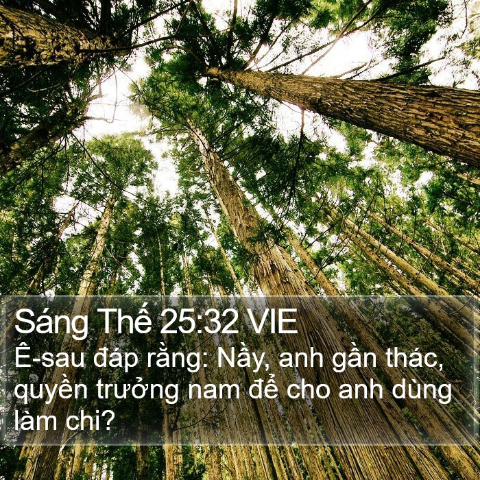 Sáng Thế 25:32 VIE Bible Study