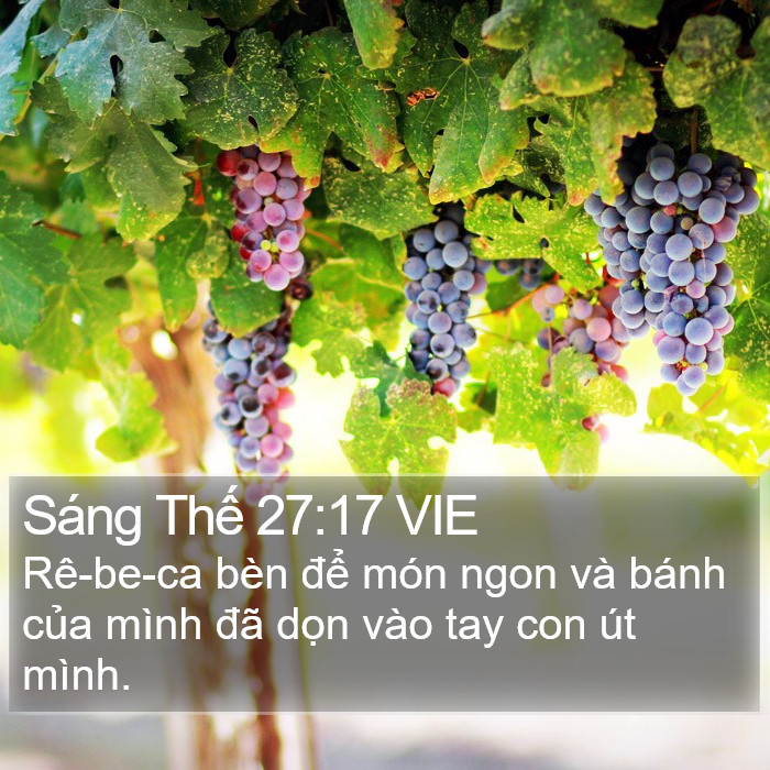 Sáng Thế 27:17 VIE Bible Study