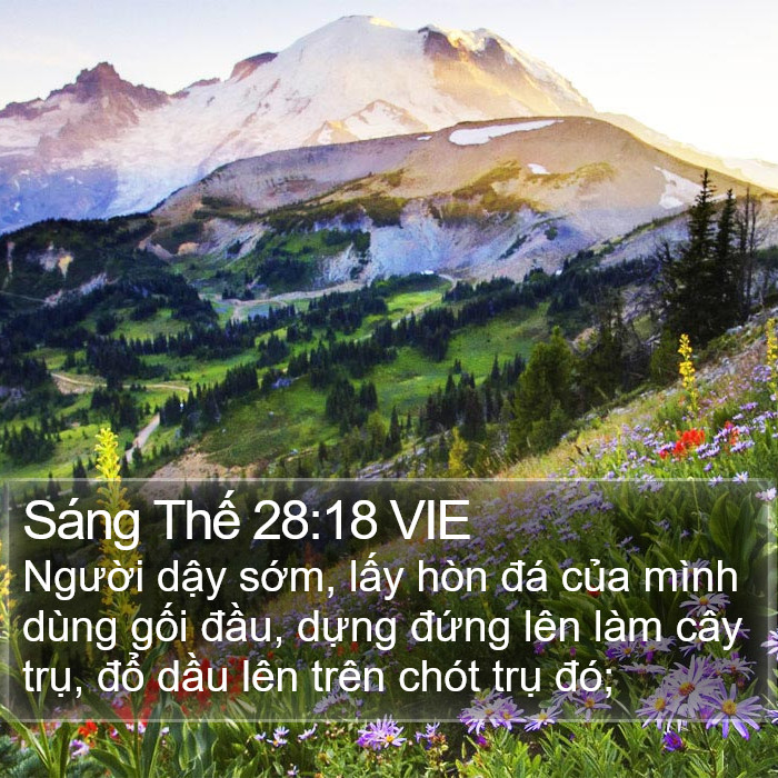 Sáng Thế 28:18 VIE Bible Study